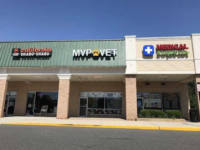 Mainstay Veterinary Practice 12