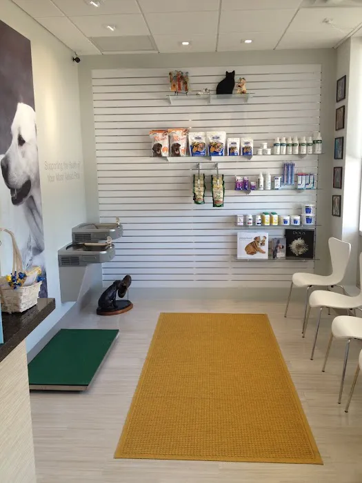 Mainstay Veterinary Practice 12