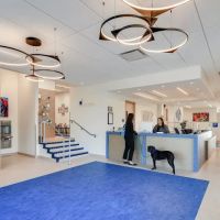 Mainstay Veterinary Practice ico