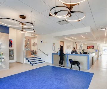 Mainstay Veterinary Practice