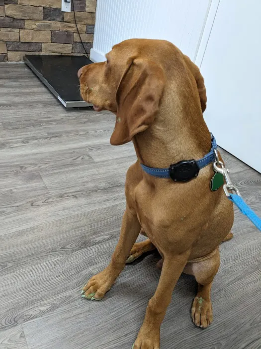 Little River Veterinary Clinic 12