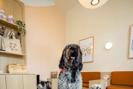 Bond Vet - Fairfax