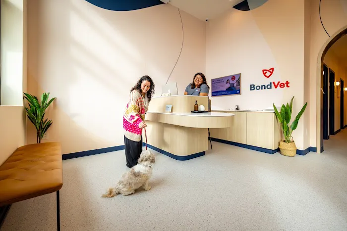 Bond Vet - Fairfax 5