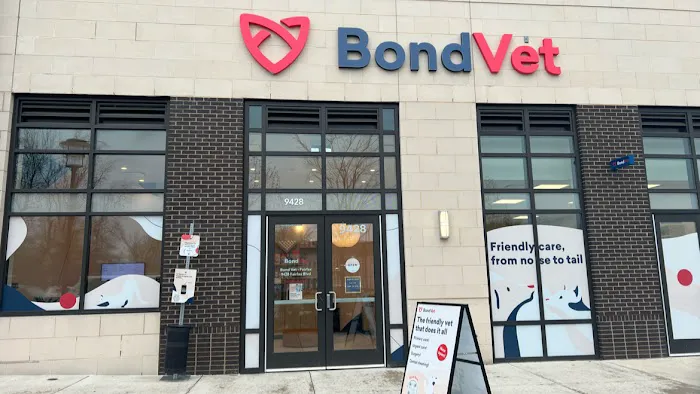 Bond Vet - Fairfax 6