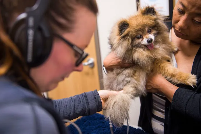 CVCA Cardiac Care For Pets 12