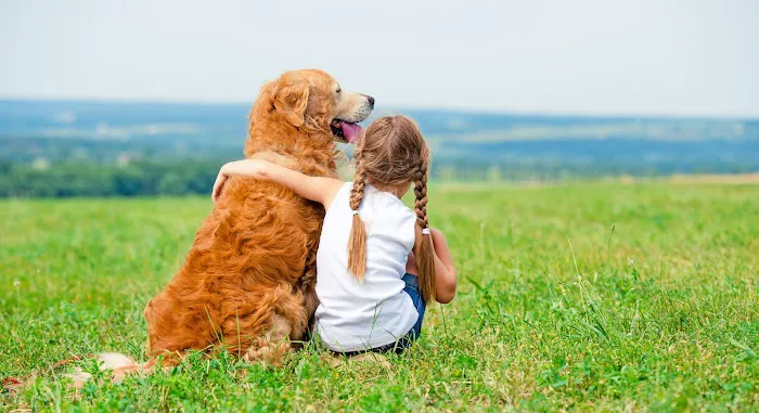 CVCA Cardiac Care For Pets 12