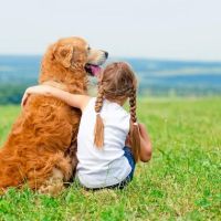 CVCA Cardiac Care For Pets ico