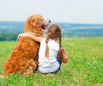 CVCA Cardiac Care For Pets