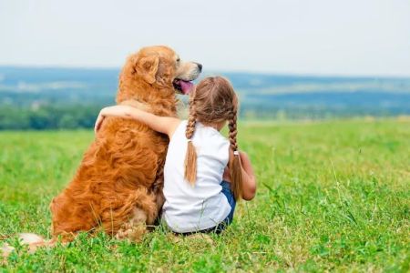 CVCA Cardiac Care For Pets