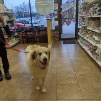 Potomac Valley Veterinary Hospital ico
