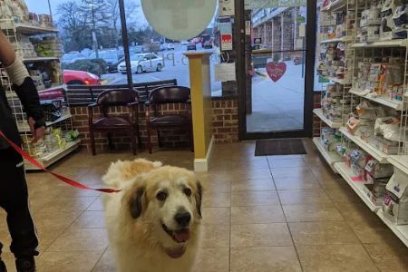 Potomac Valley Veterinary Hospital