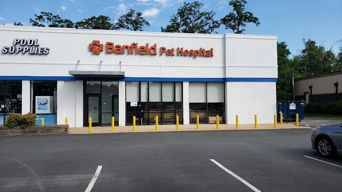 Banfield Pet Hospital 12