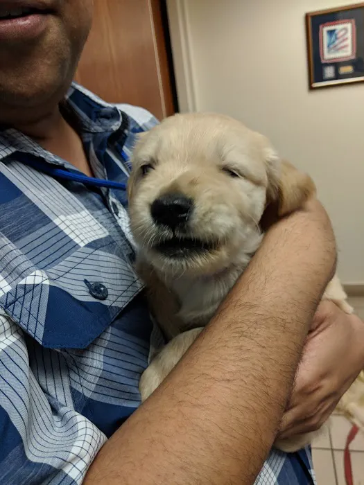 McLean Animal Hospital 5
