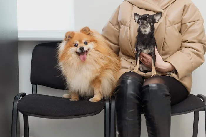 McLean Animal Hospital 7