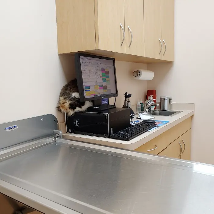 Pet Lovers Animal Hospital 10