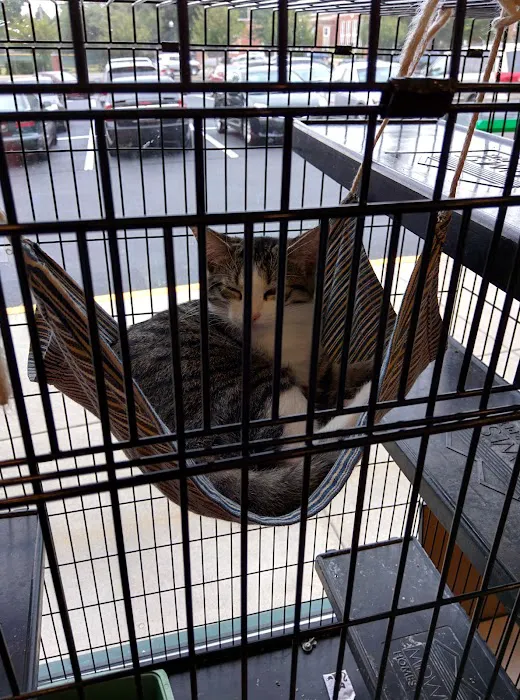 Pet Lovers Animal Hospital 8