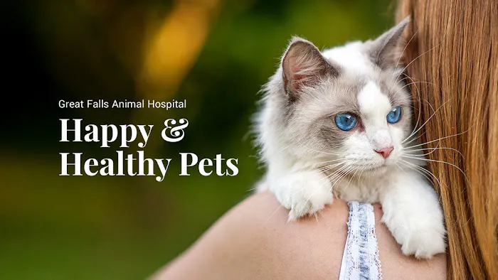 Great Falls Animal Hospital 12