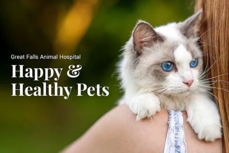Great Falls Animal Hospital