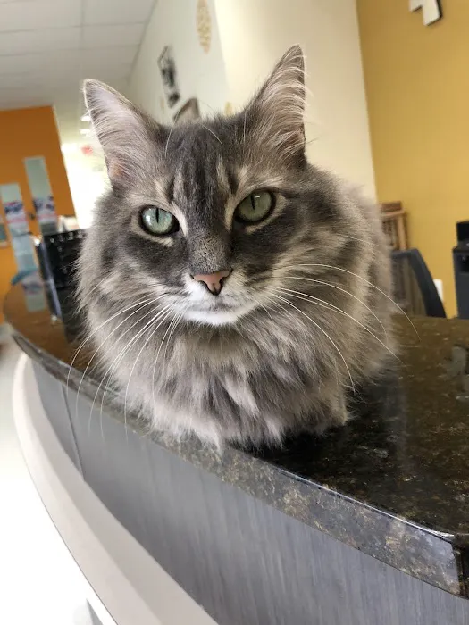 Campbell Animal Hospital 12