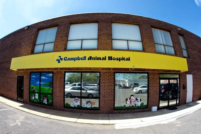 Campbell Animal Hospital 12