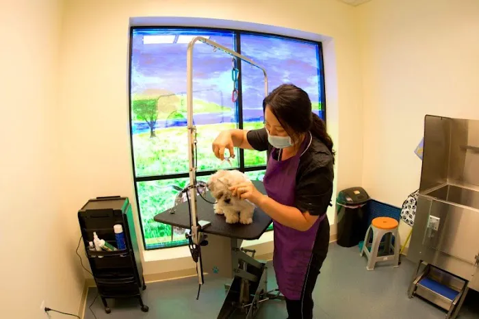 Campbell Animal Hospital 12
