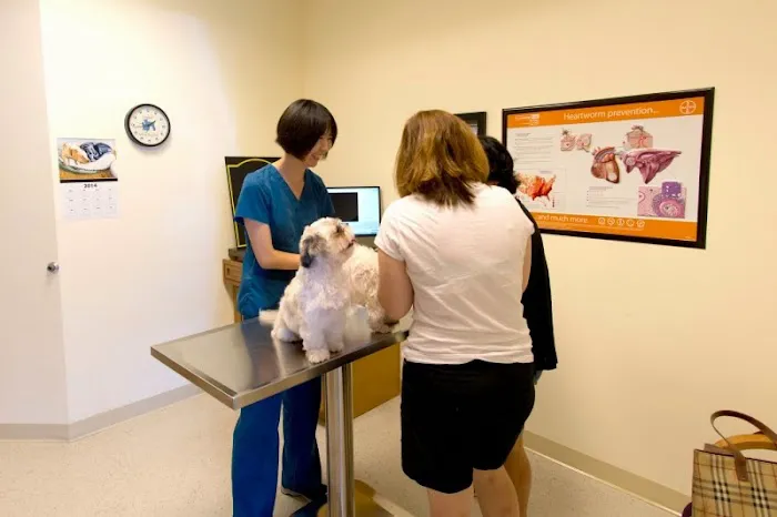Campbell Animal Hospital 12