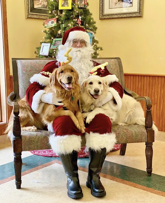Companion Animal Clinic 9