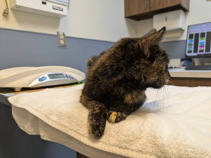 Beltsville Veterinary Hospital 3