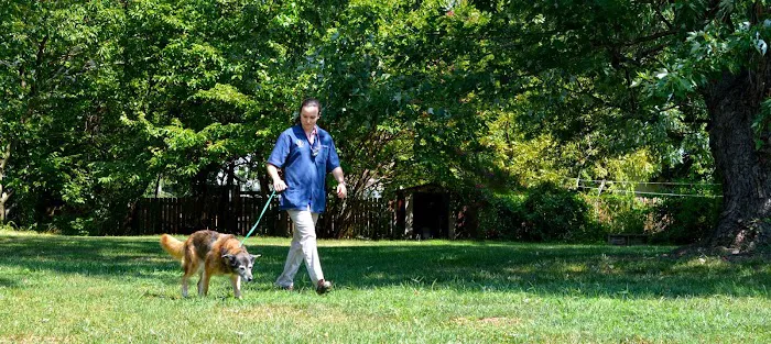 Beltsville Veterinary Hospital 4