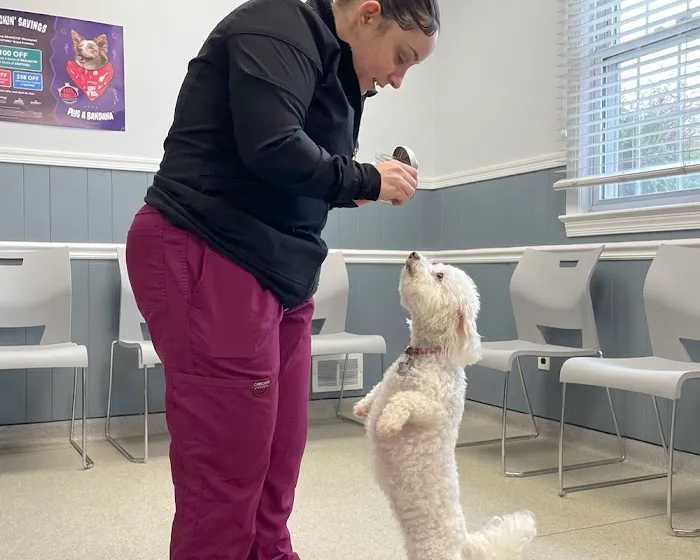 Beltsville Veterinary Hospital 7