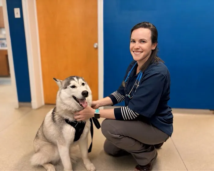 Beltsville Veterinary Hospital 5