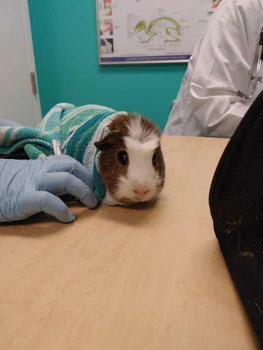 Maryland Avian & Exotics Veterinary Care 12