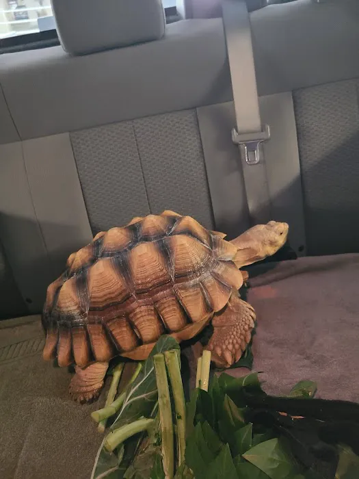 Maryland Avian & Exotics Veterinary Care 12
