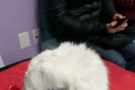 Maryland Avian & Exotics Veterinary Care