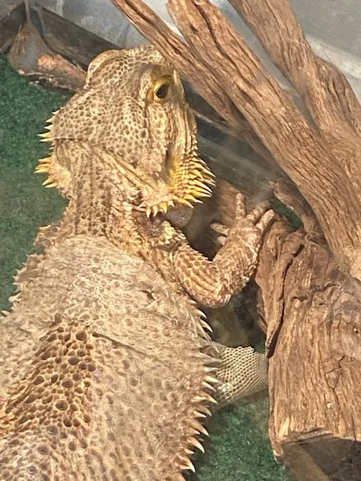 Maryland Avian & Exotics Veterinary Care 12