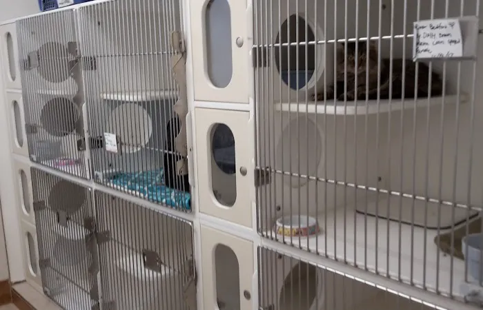 Sunshine Animal Hospital 10