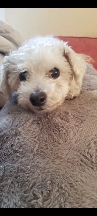 Sunshine Animal Hospital 4