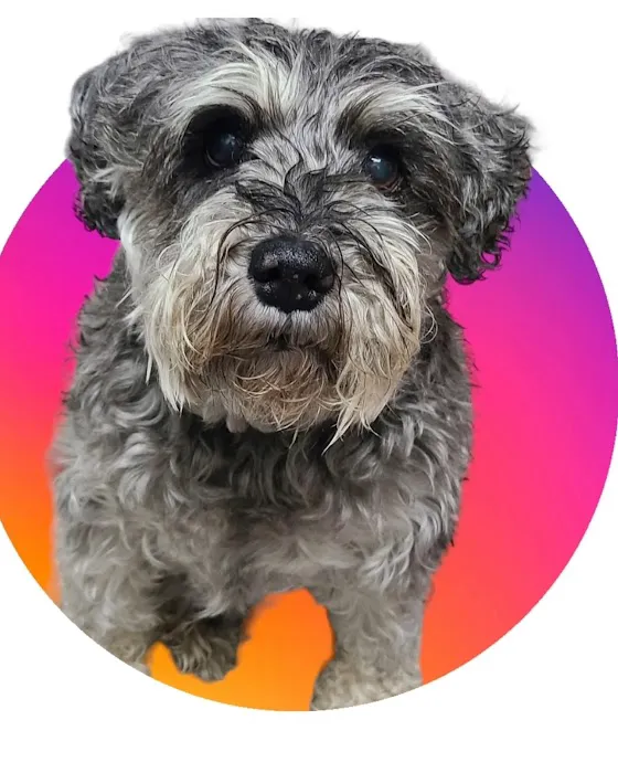 Burke Animal Clinic 1