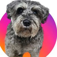 Burke Animal Clinic ico
