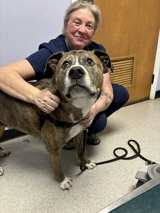 Burke Animal Clinic 2