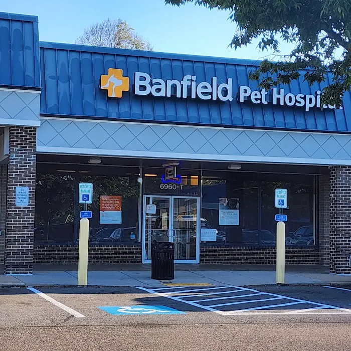 Banfield Pet Hospital 7
