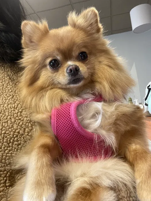 Banfield Pet Hospital 6