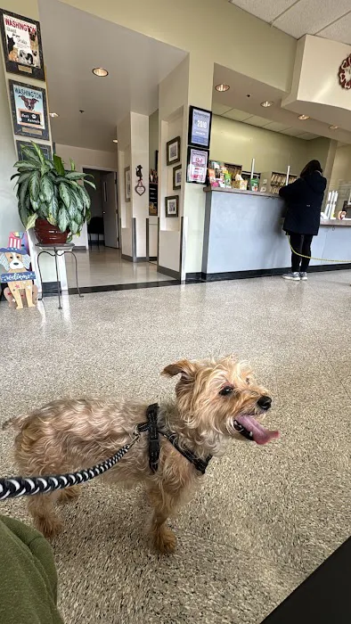 Village Veterinary Clinic 6