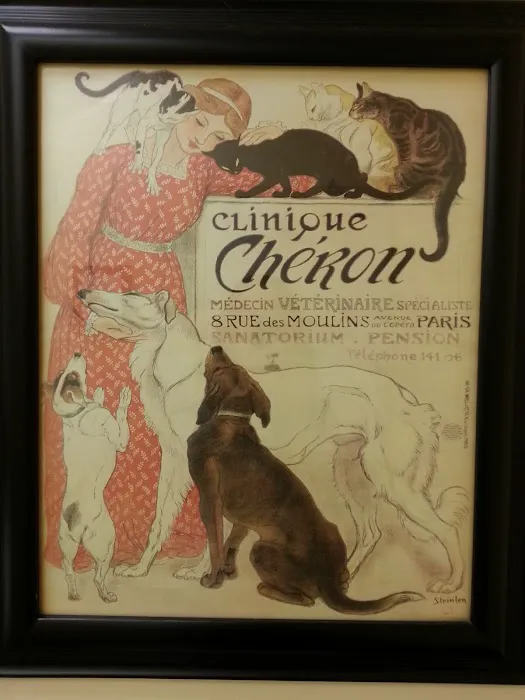 Colonial Animal Hospital 12