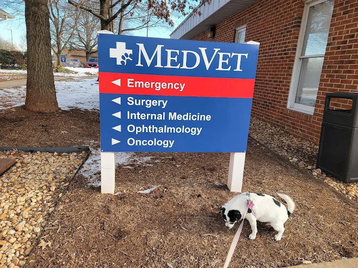 MedVet Northern Virginia 12