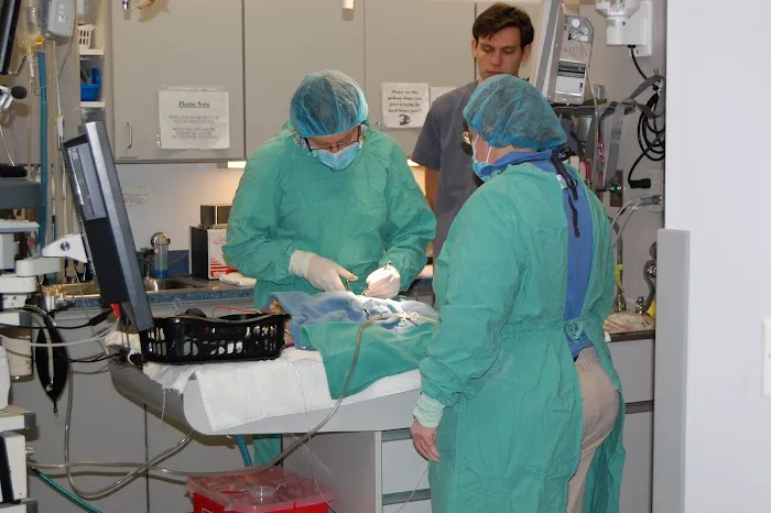 MedVet Northern Virginia 12