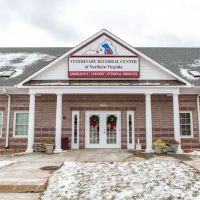 MedVet Northern Virginia ico