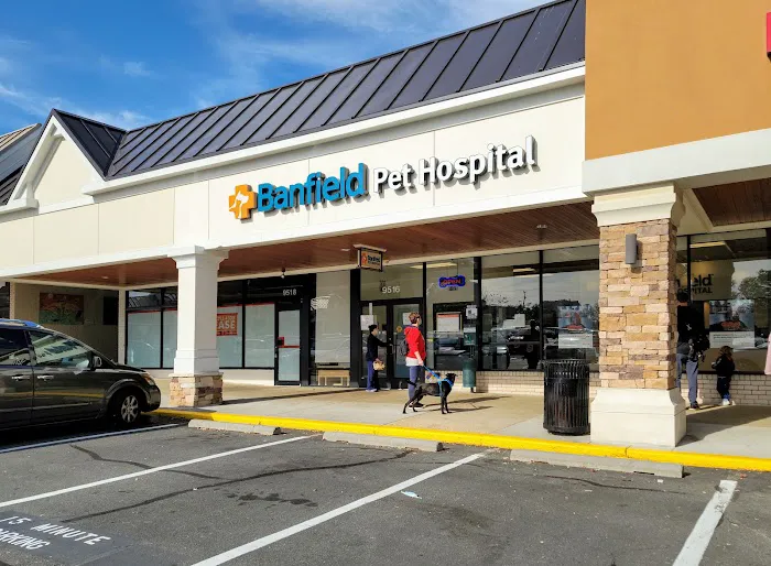 Banfield Pet Hospital 9