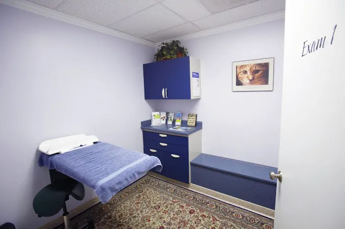 Animal Dental Clinic 12