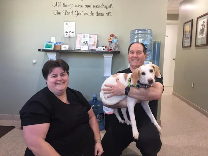 Animal Dental Clinic 12